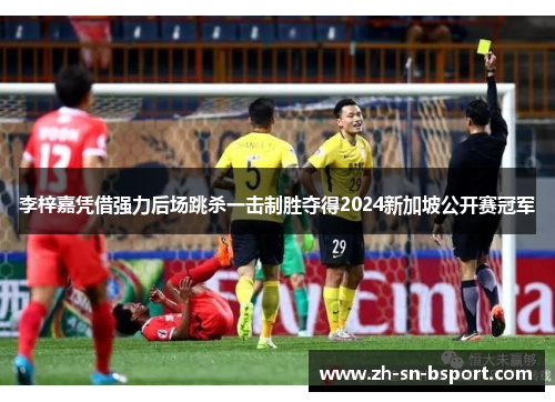 李梓嘉凭借强力后场跳杀一击制胜夺得2024新加坡公开赛冠军