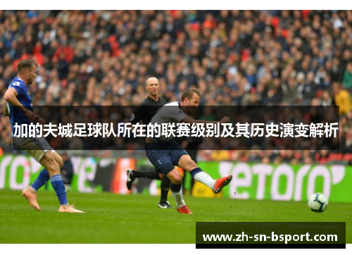 加的夫城足球队所在的联赛级别及其历史演变解析 加的夫城足球队所在的联赛级别及其历史演变解析