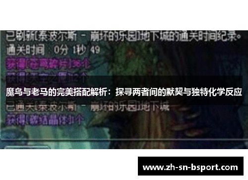 魔鸟与老马的完美搭配解析:探寻两者间的默契与独特化学反应 魔鸟与老马的完美搭配解析:探寻两者间的默契与独特化学反应