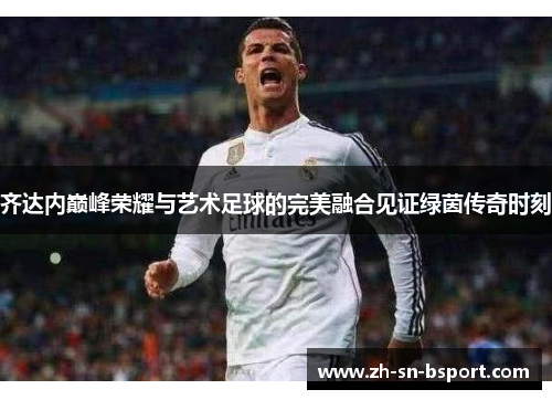齐达内巅峰荣耀与艺术足球的完美融合见证绿茵传奇时刻